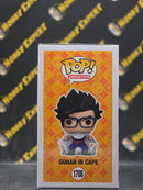 Gohan in Cape