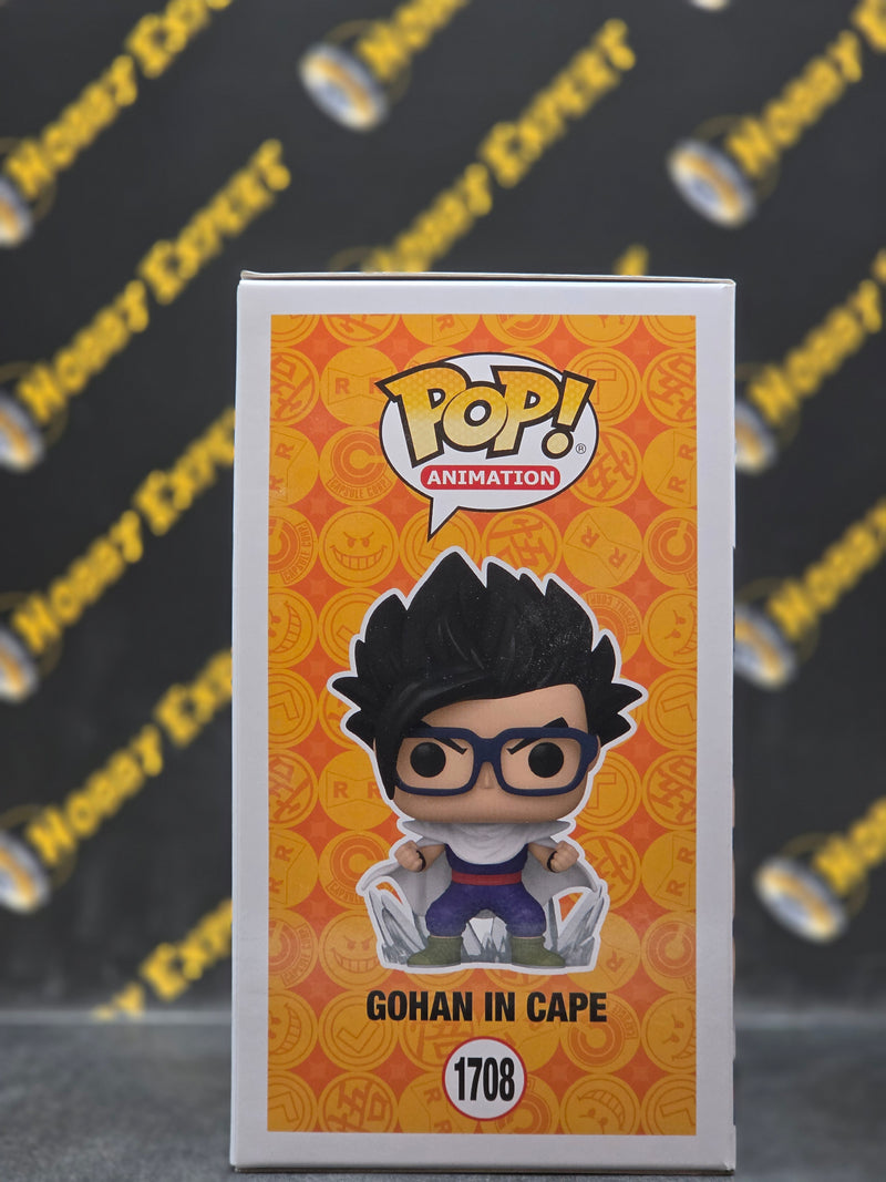 Gohan in Cape