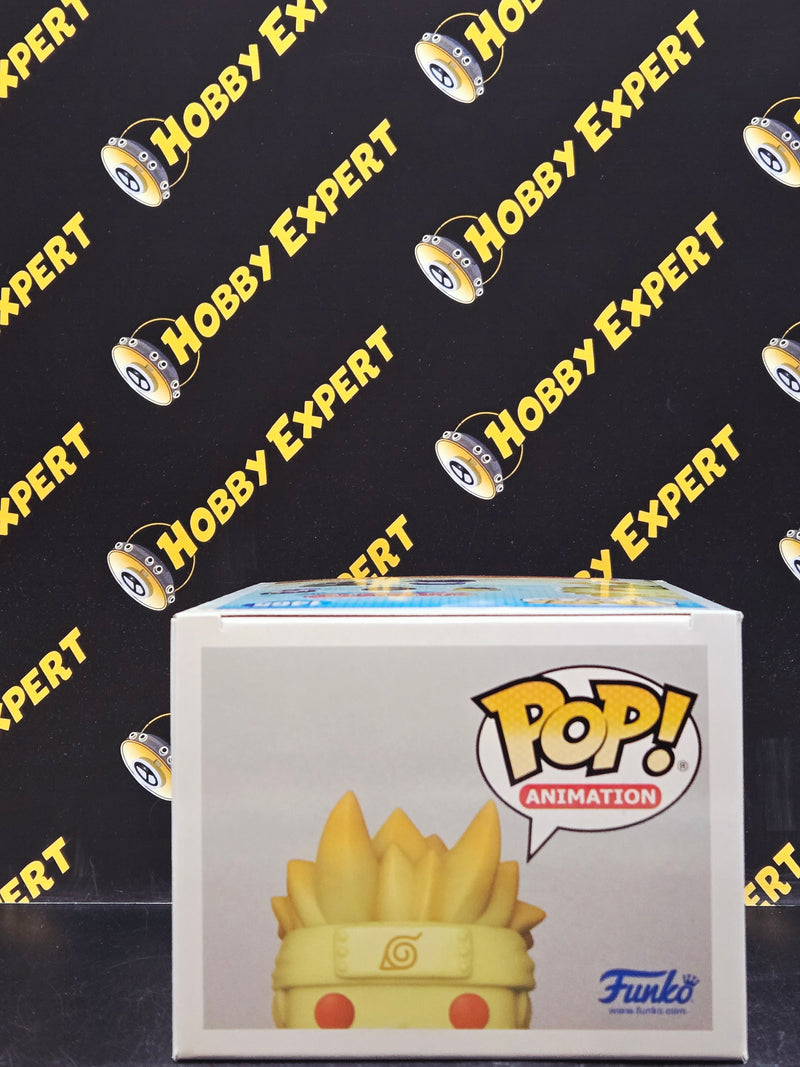 Naruto Uzumaki Kurama Link