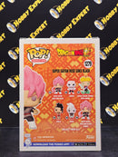 Super Saiyan Rose Goku Black