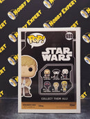 Young Luke Skywalker