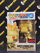 Naruto Uzumaki Kurama Link