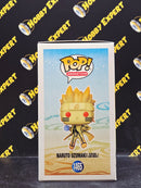 Naruto Uzumaki Kurama Link