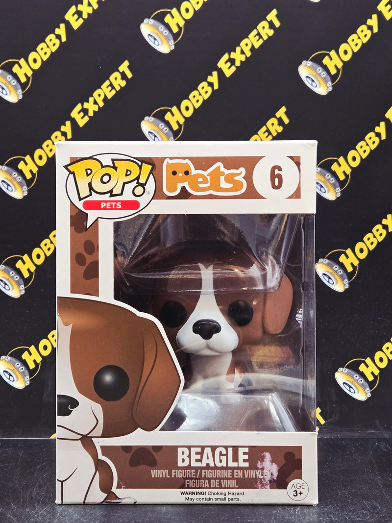 Beagle