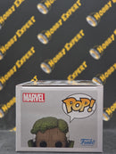 Groot As Doctor Strange