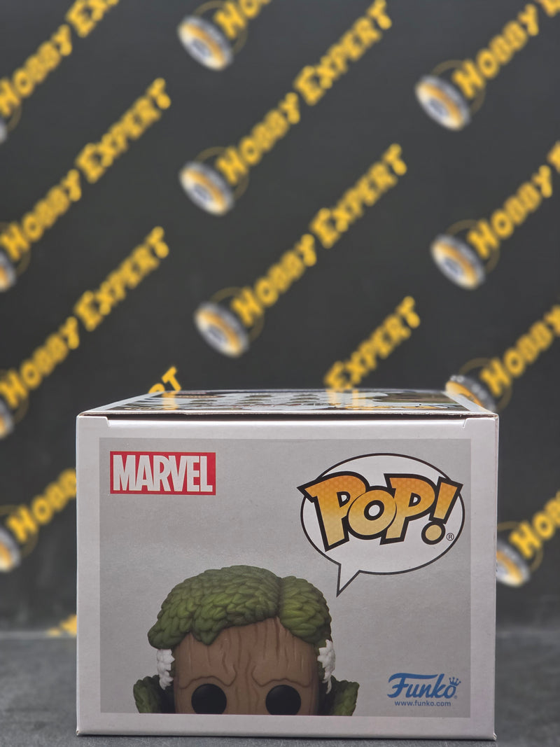 Groot As Doctor Strange