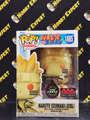 Naruto Uzumaki Kurama Link