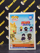 Naruto Uzumaki Kurama Link