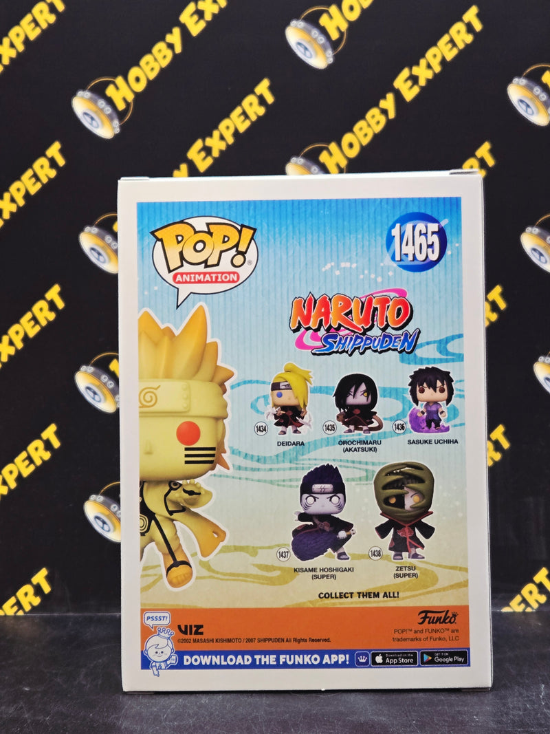 Naruto Uzumaki Kurama Link