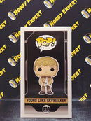 Young Luke Skywalker