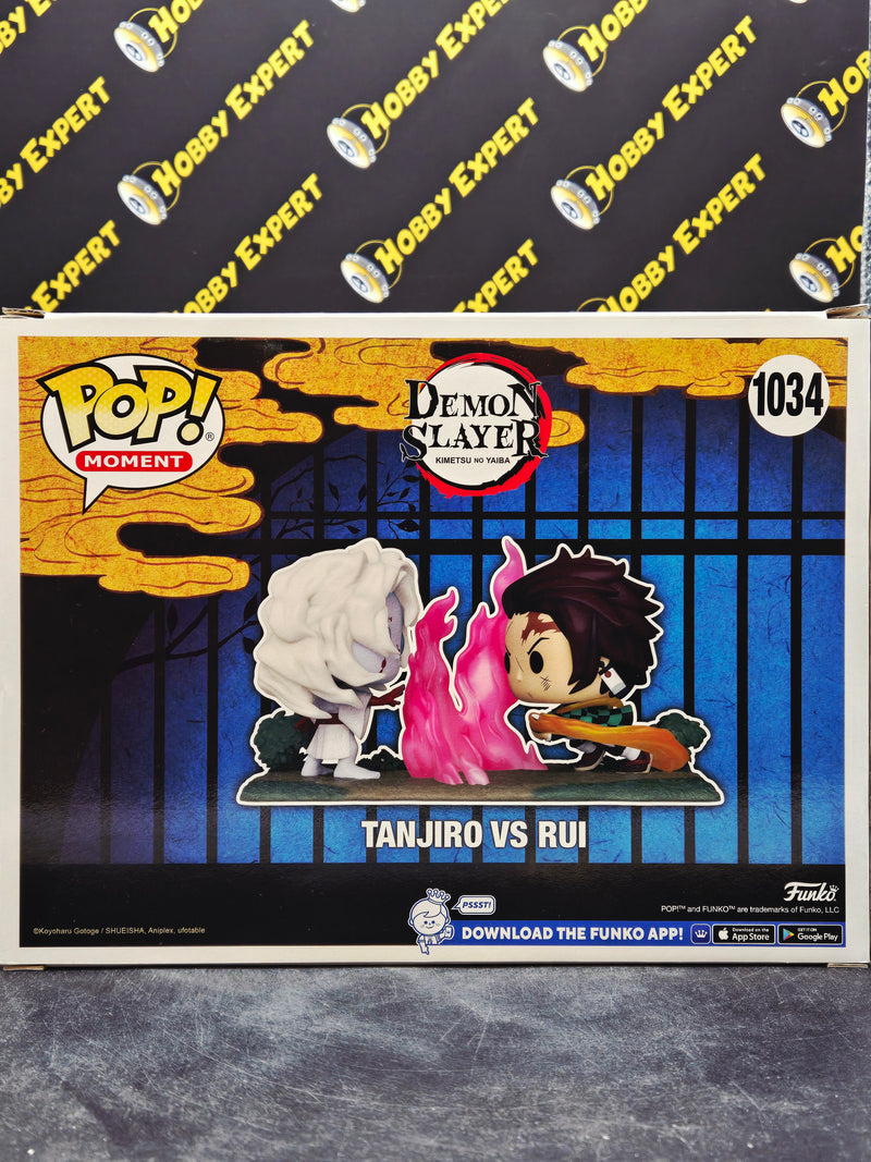 Tanjiro Vs Rui