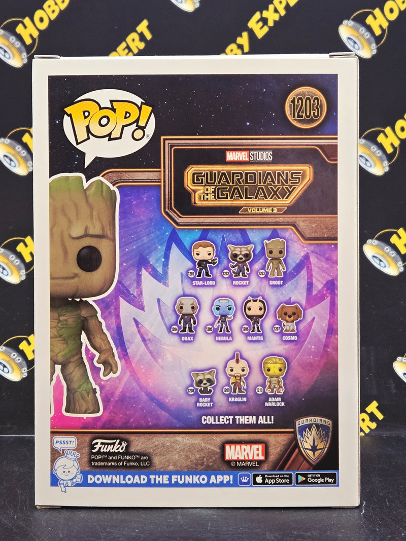 Groot