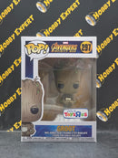 Groot