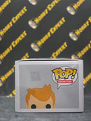 Fry