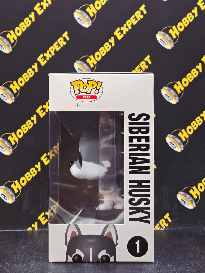 Siberian Husky