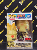 Naruto Uzumaki Kurama Link