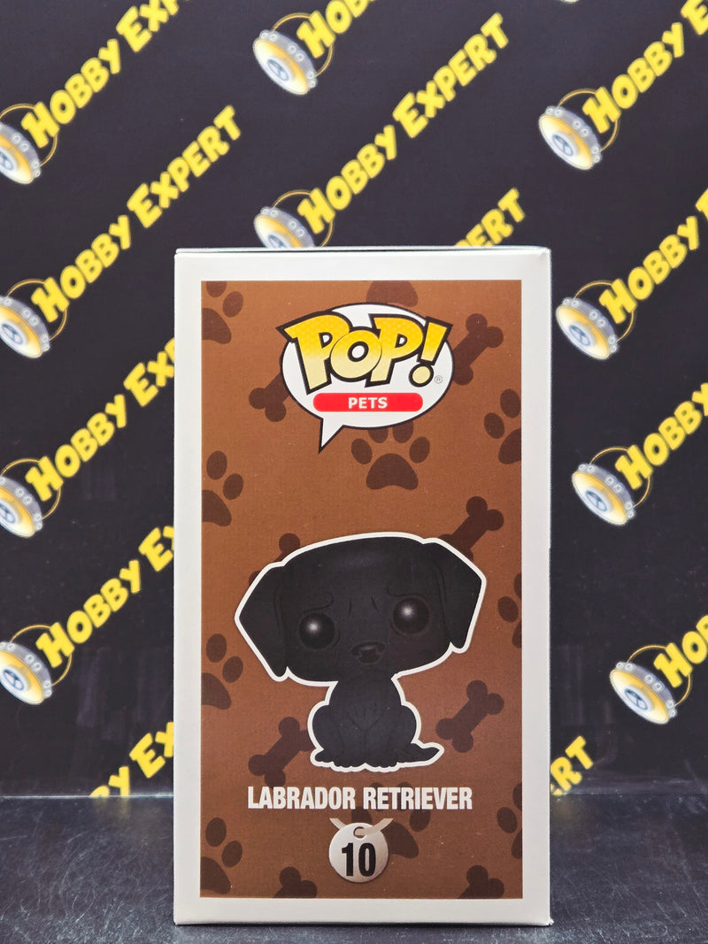 Labrador Retriever