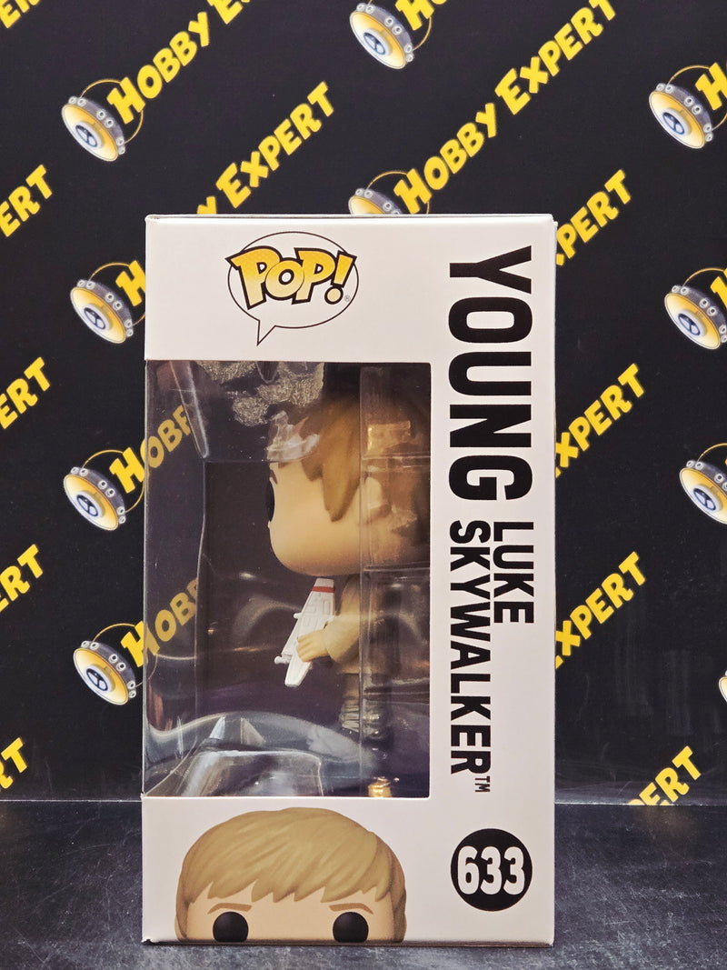 Young Luke Skywalker