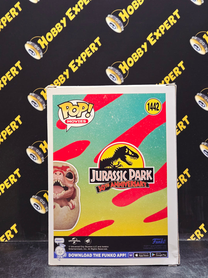 Hatching Raptor