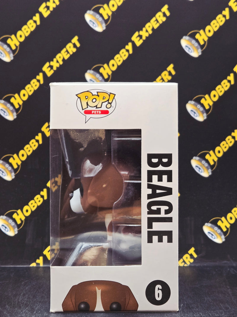Beagle