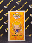 Super Saiyan 3 Goku