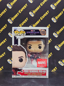 Friendly Neighborhood Spider-Man