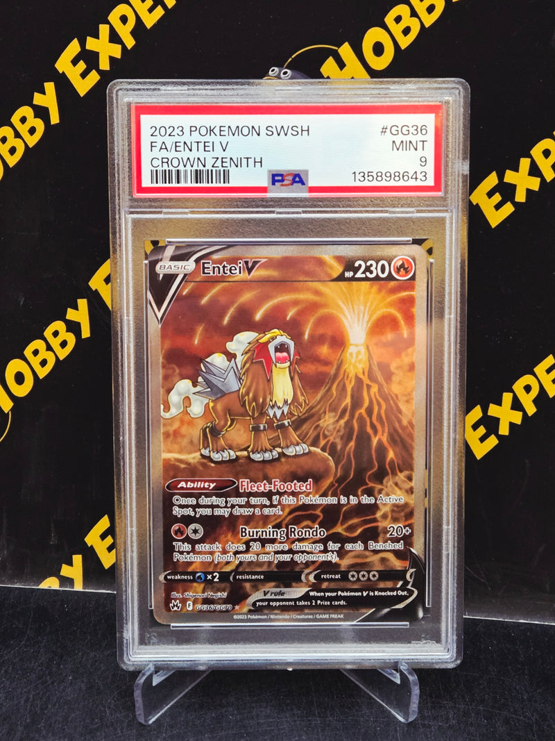 Entei V
