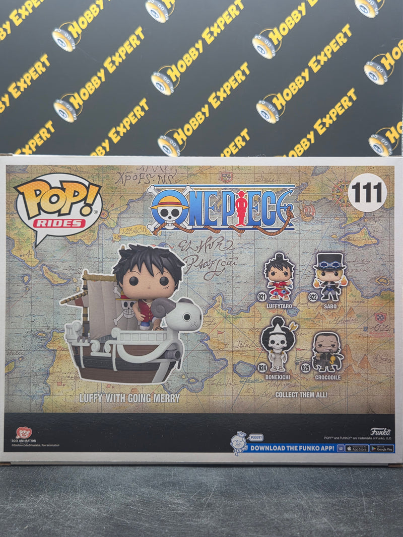 Luffy With Going Merry