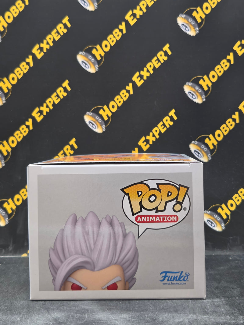 Son Gohan Beast