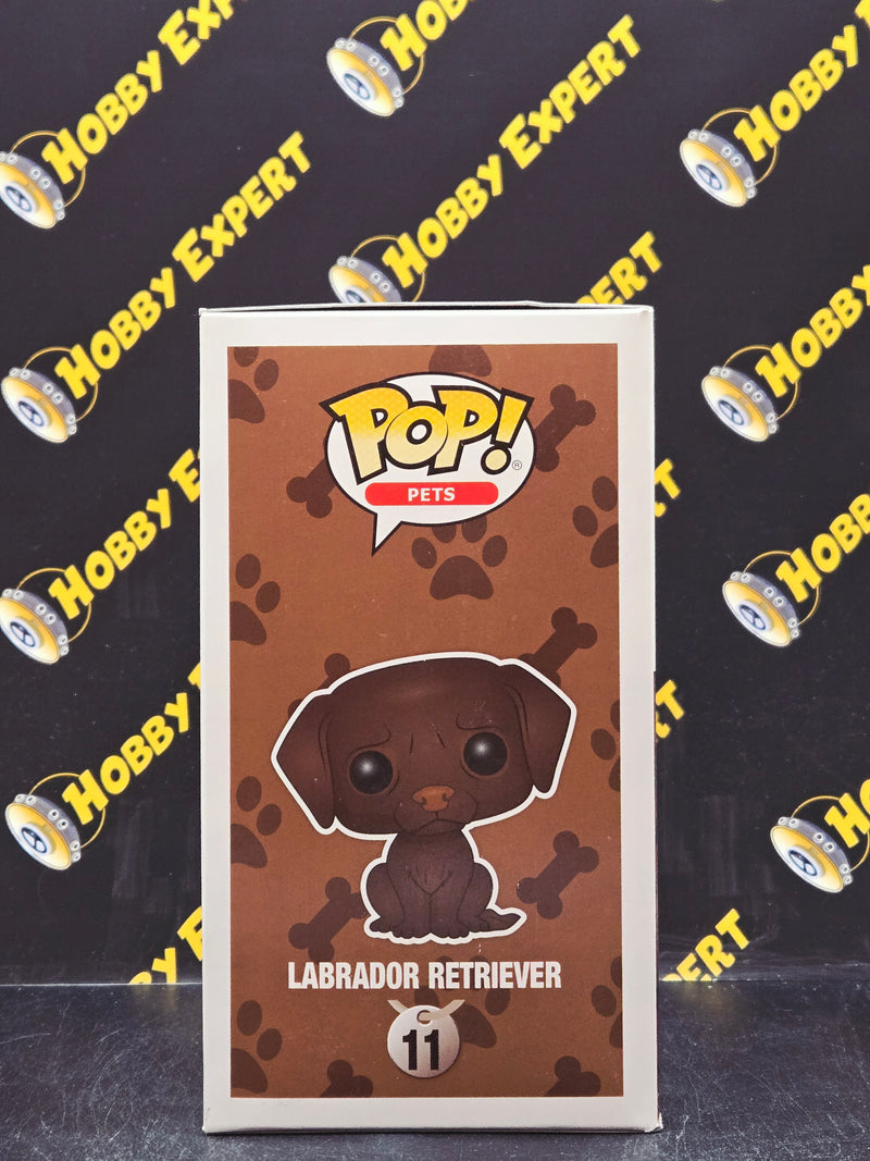 Labrador Retriever