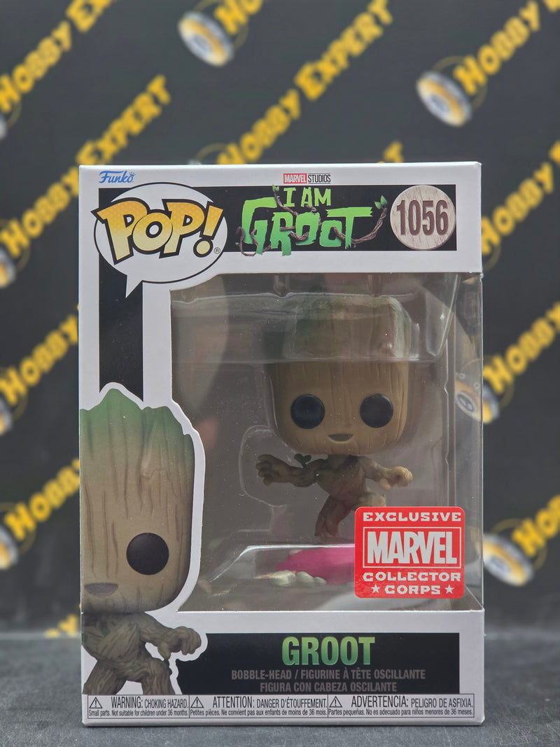 Groot