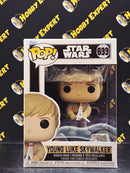 Young Luke Skywalker