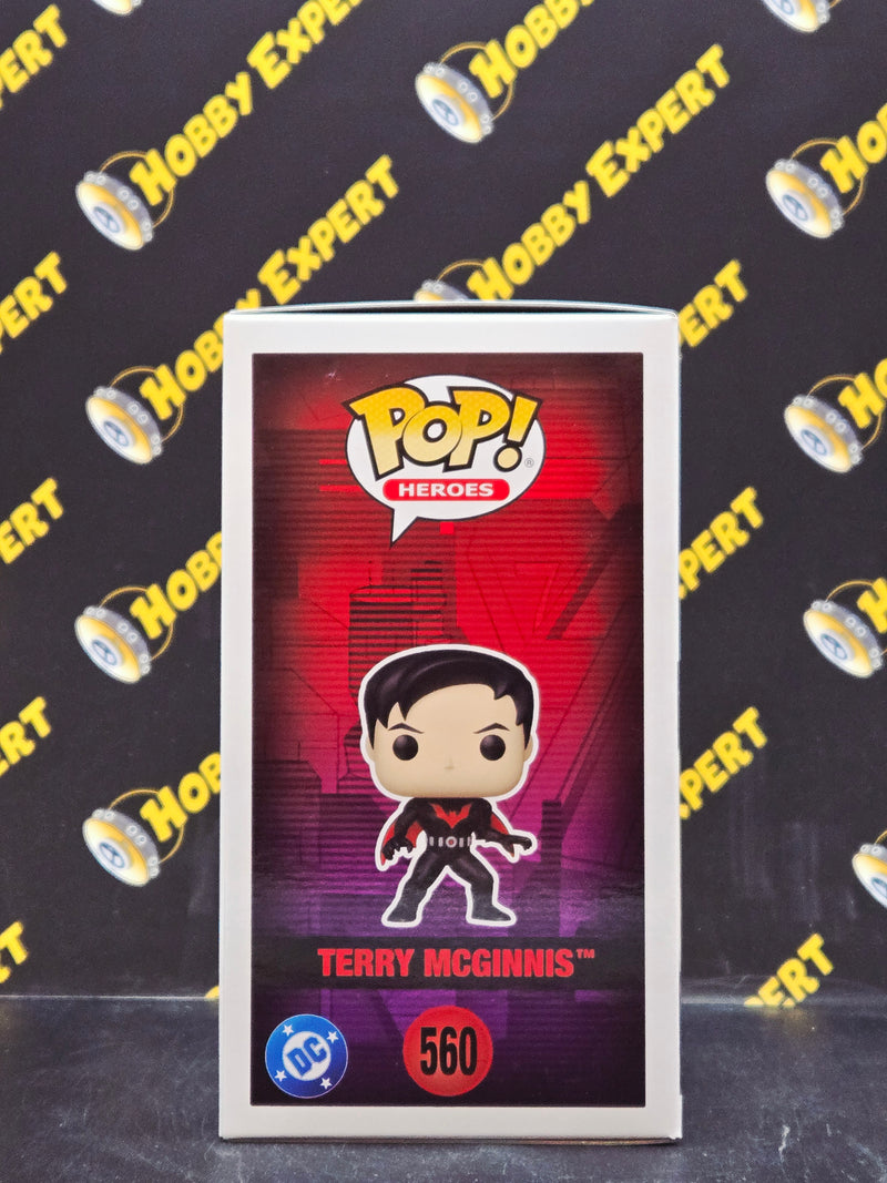 Terry McgGinnis