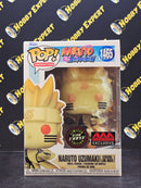 Naruto Uzumaki Kurama Link