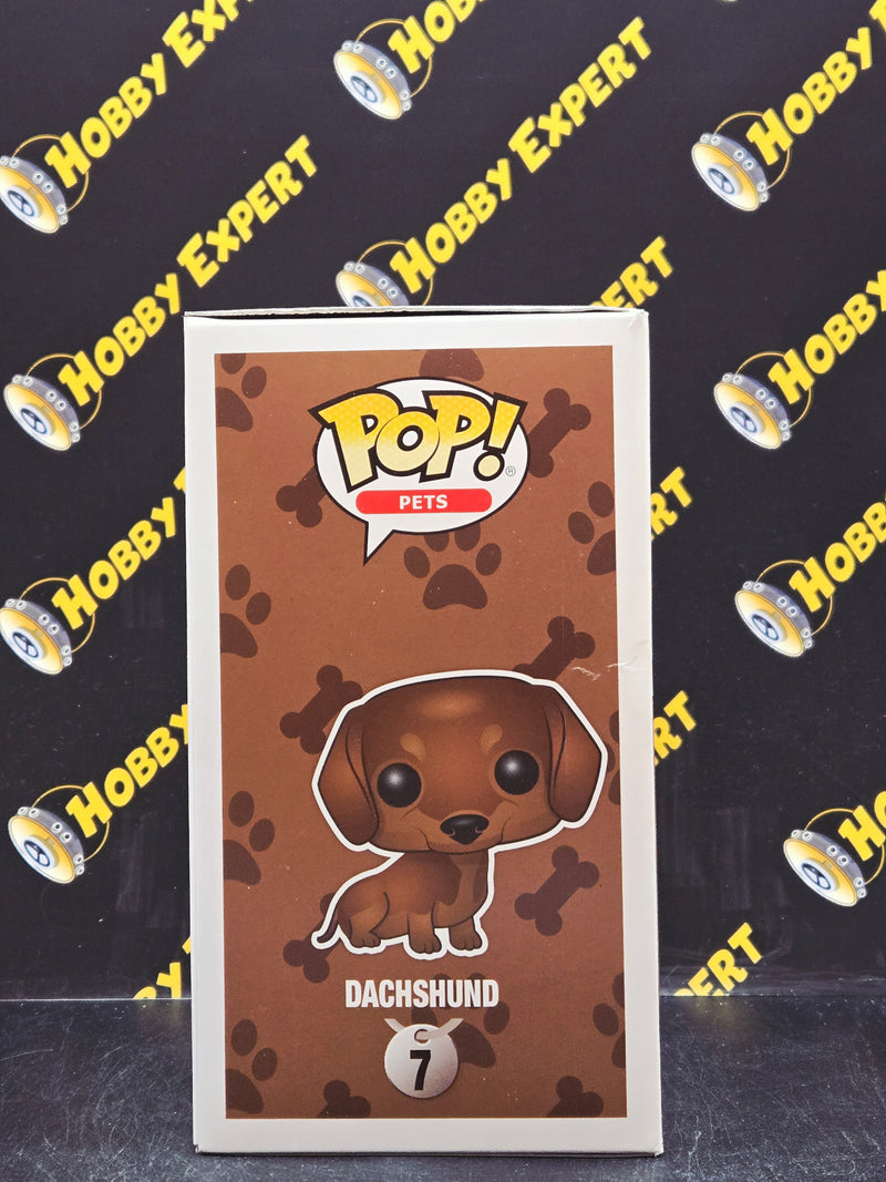 Dachshund