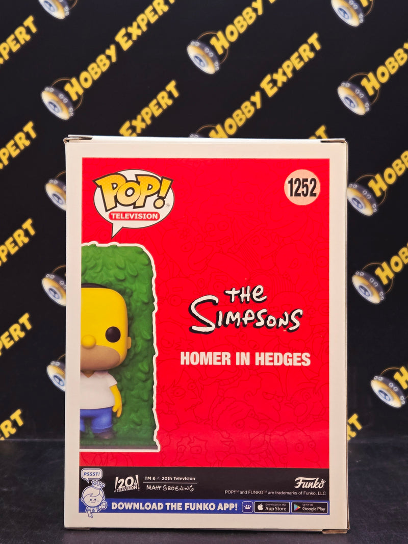 Homer In Hedges